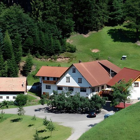 Holderstanzenhof Daire Bad Peterstal-Griesbach Dış mekan fotoğraf