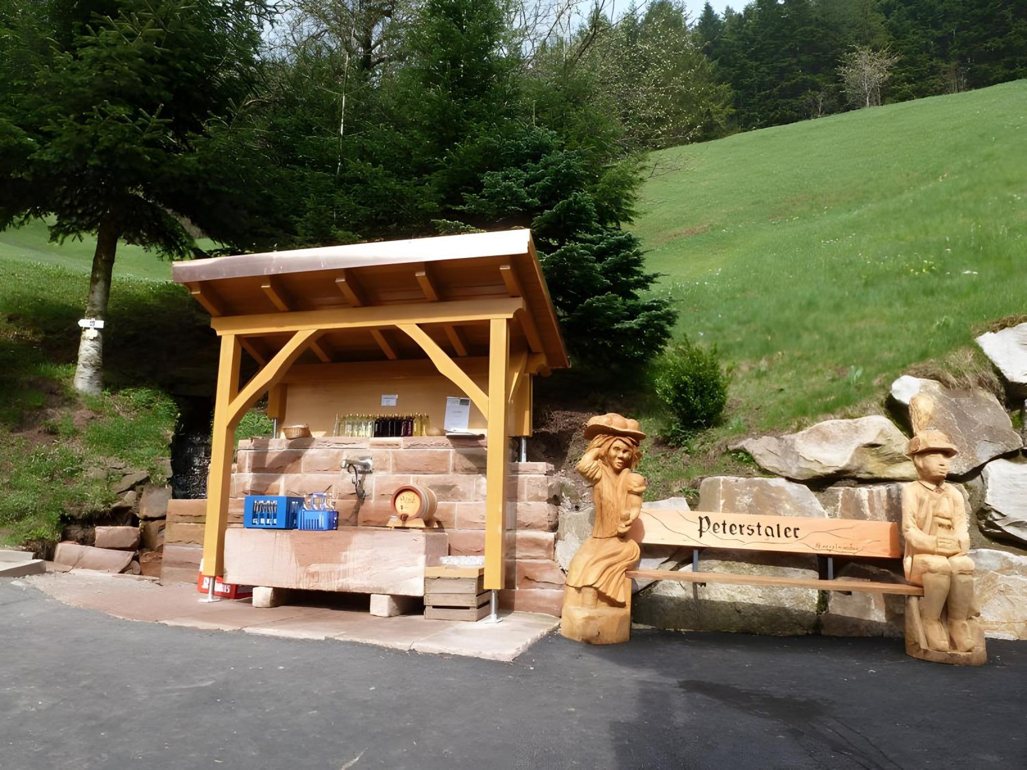Holderstanzenhof Daire Bad Peterstal-Griesbach Dış mekan fotoğraf