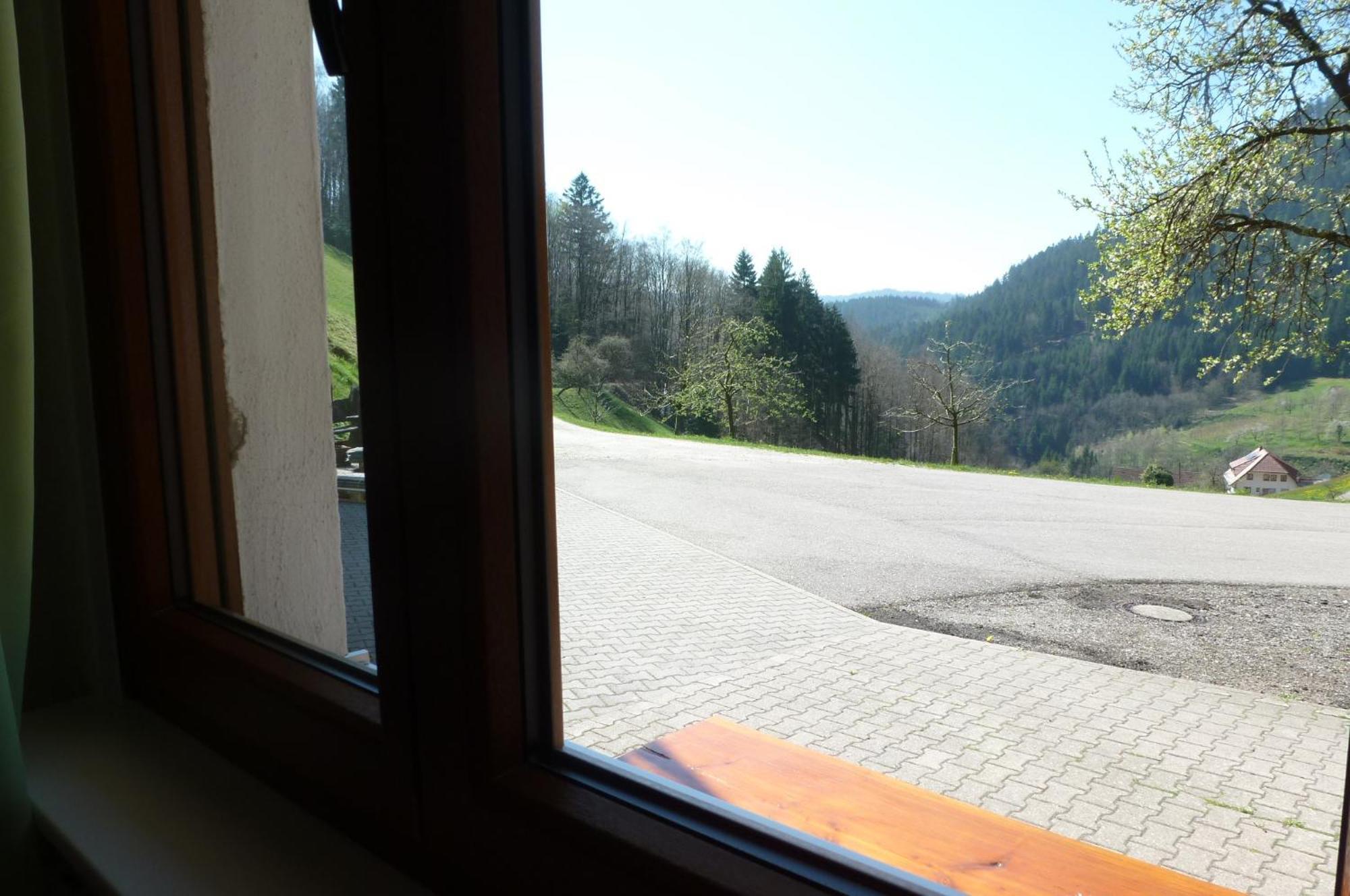 Holderstanzenhof Daire Bad Peterstal-Griesbach Dış mekan fotoğraf