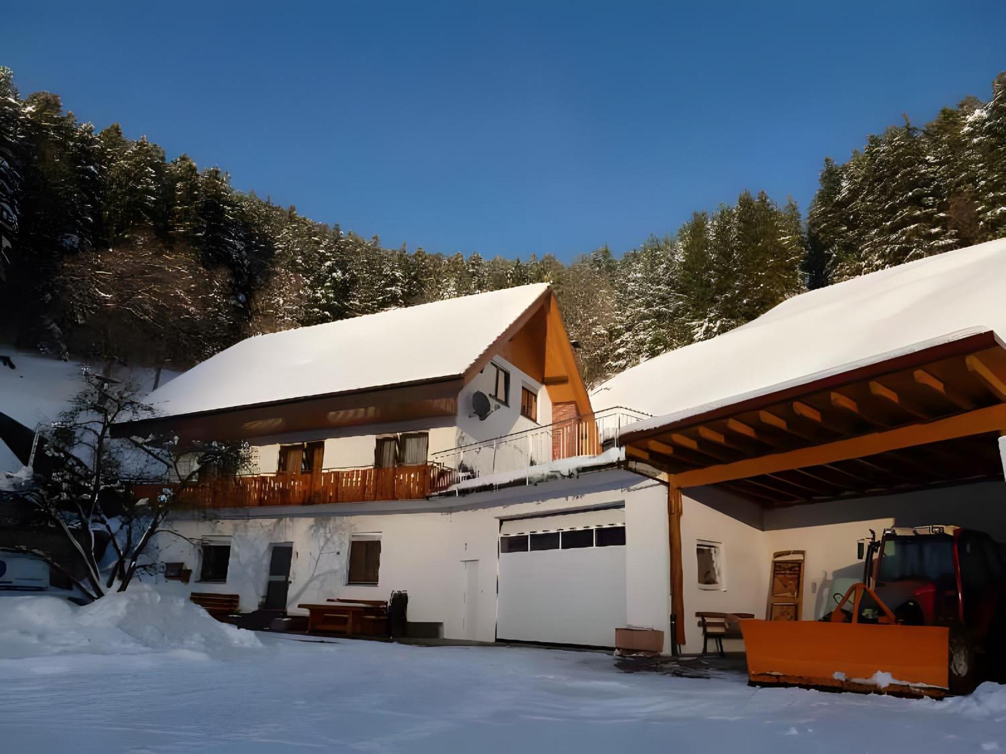 Holderstanzenhof Daire Bad Peterstal-Griesbach Dış mekan fotoğraf