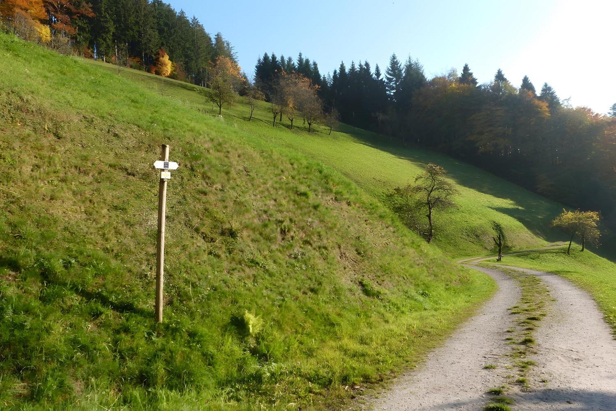 Holderstanzenhof Daire Bad Peterstal-Griesbach Dış mekan fotoğraf